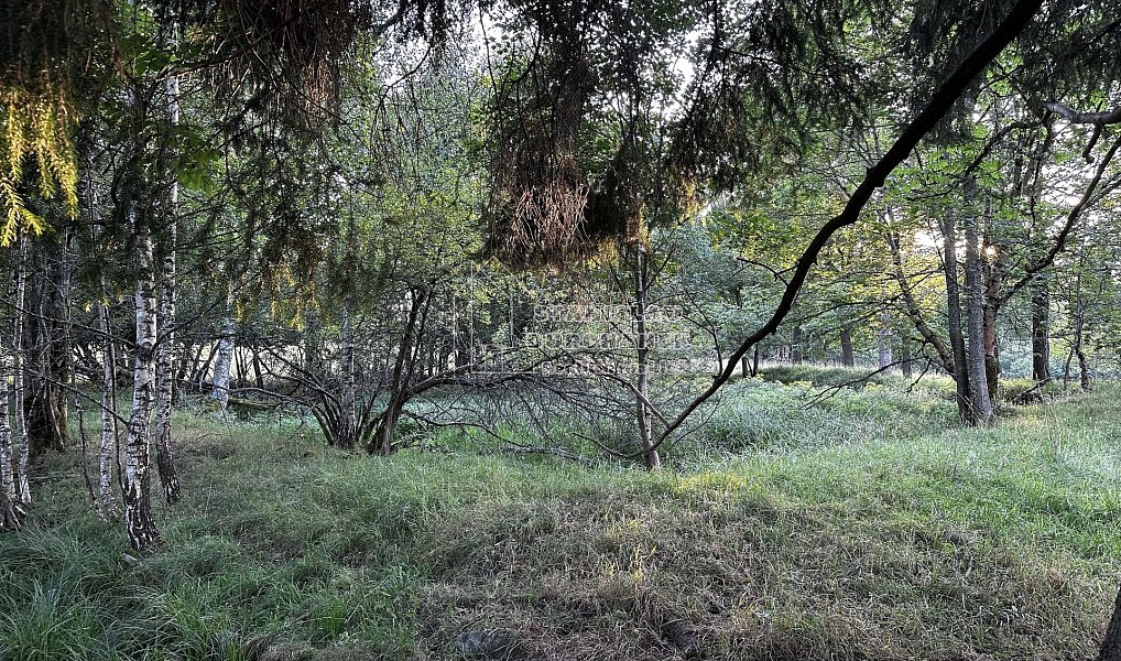 Prodej stavebního pozemku 1 713 m², Nová Ves – náhled fotky 8