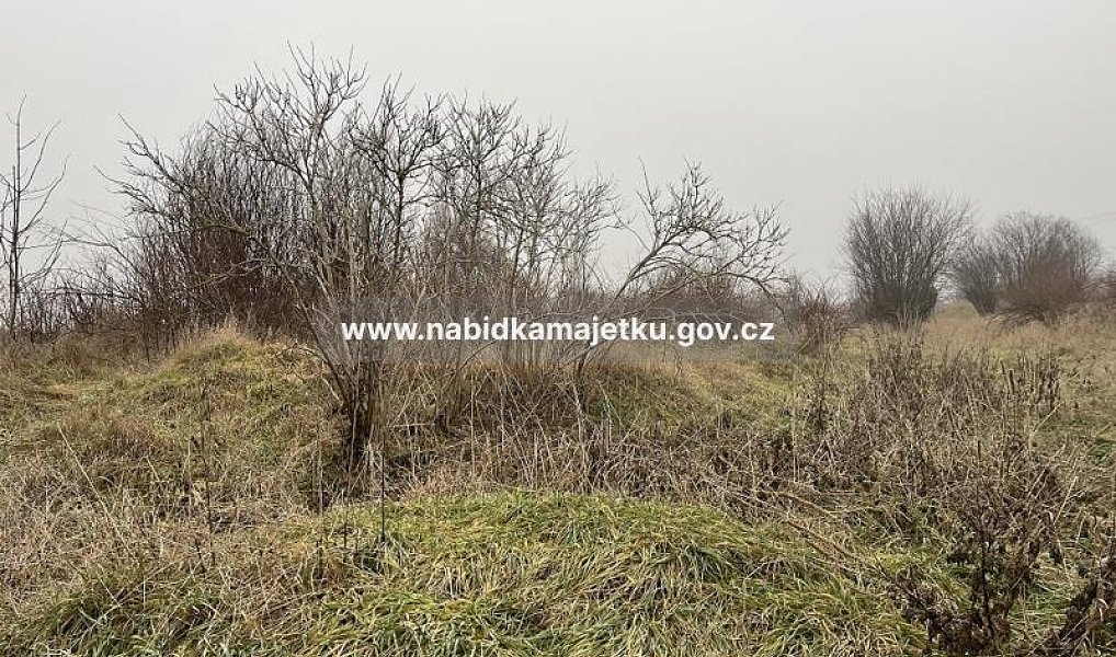 Prodej pozemku 3 160 m², Bečov – náhled fotky 3