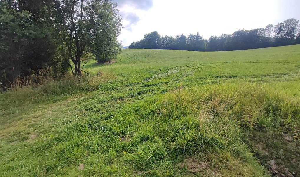 Prodej stavebního pozemku 22 105 m², Lipová-lázně – náhled fotky 3