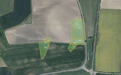 Prodej pole 10 689 m², Očelice, okres Rychnov nad Kněžnou