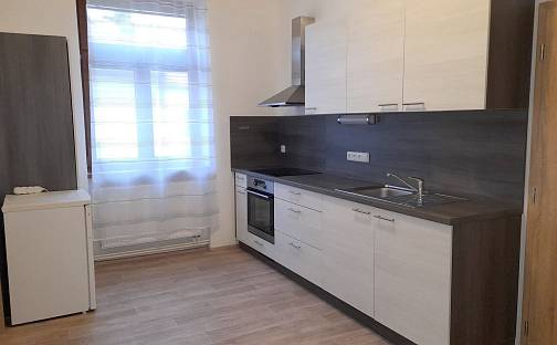 Pronájem bytu 1+1 49 m², Matice školské, České Budějovice - České Budějovice 7