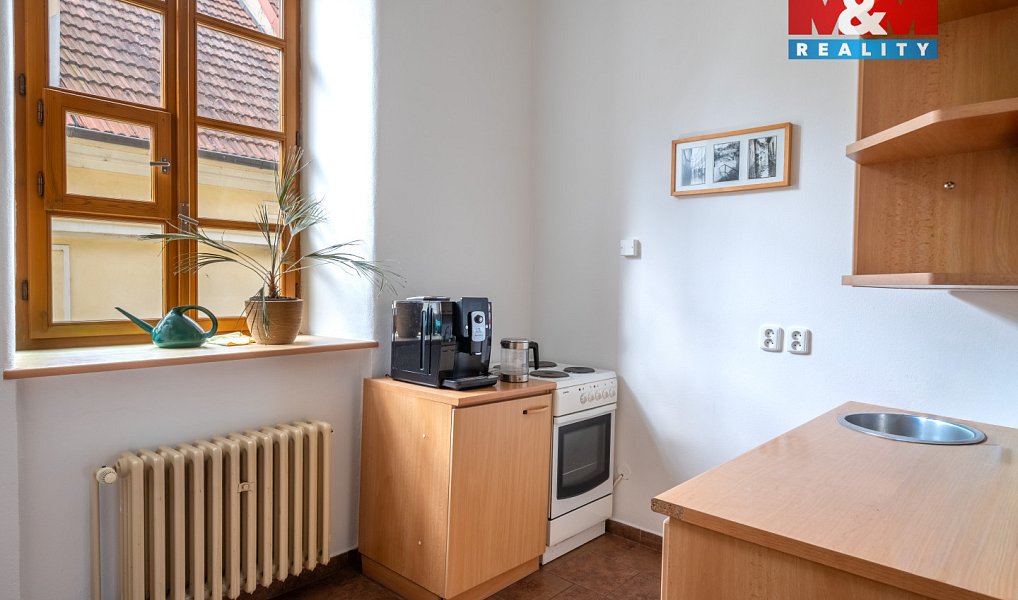 Prodej obchodních prostor 615 m², České Budějovice – náhled fotky 5