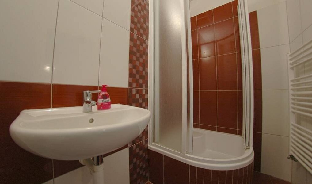 Pronájem bytu 2+1 78 m², Plzeň – náhled fotky 7