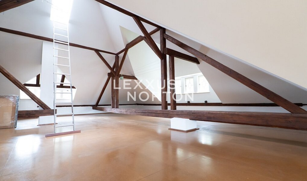 Prodej domu 382 m² s pozemkem 8 500 m², Brandýs nad Labem-Stará Boleslav – náhled fotky 11