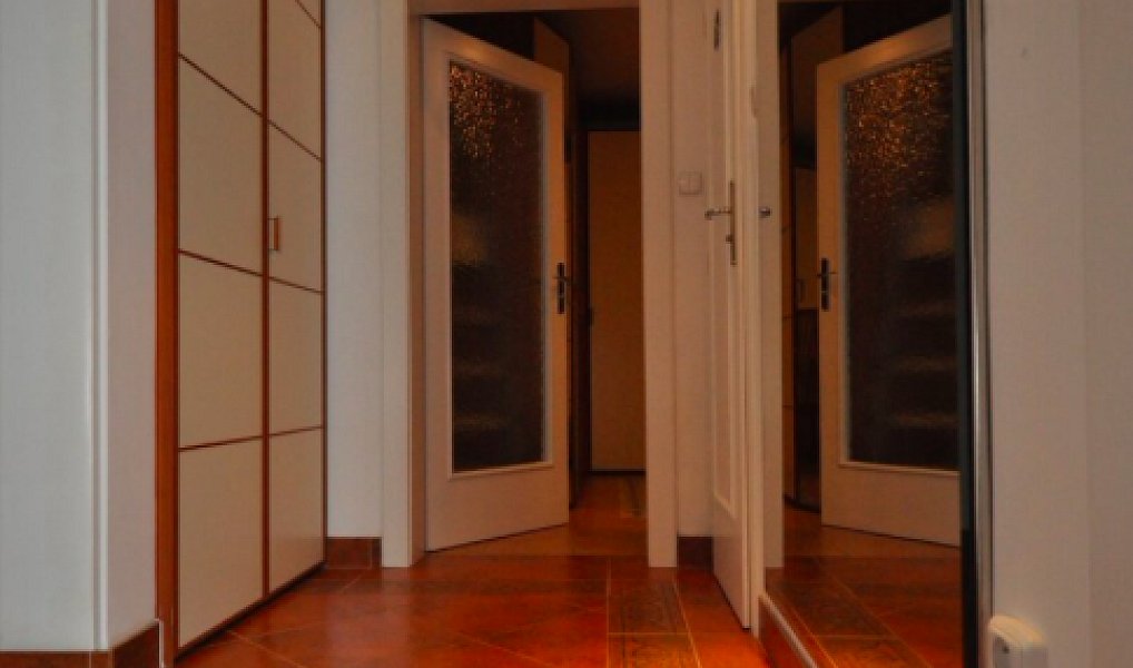 Pronájem bytu 1+1 56 m², Praha – náhled fotky 5