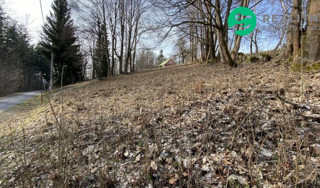 Prodej stavebního pozemku 1 024 m², Albrechtice v Jizerských horách – náhled fotky 2