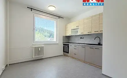 Pronájem bytu 1+1 35 m², Třebovská, Ústí nad Orlicí - Hylváty