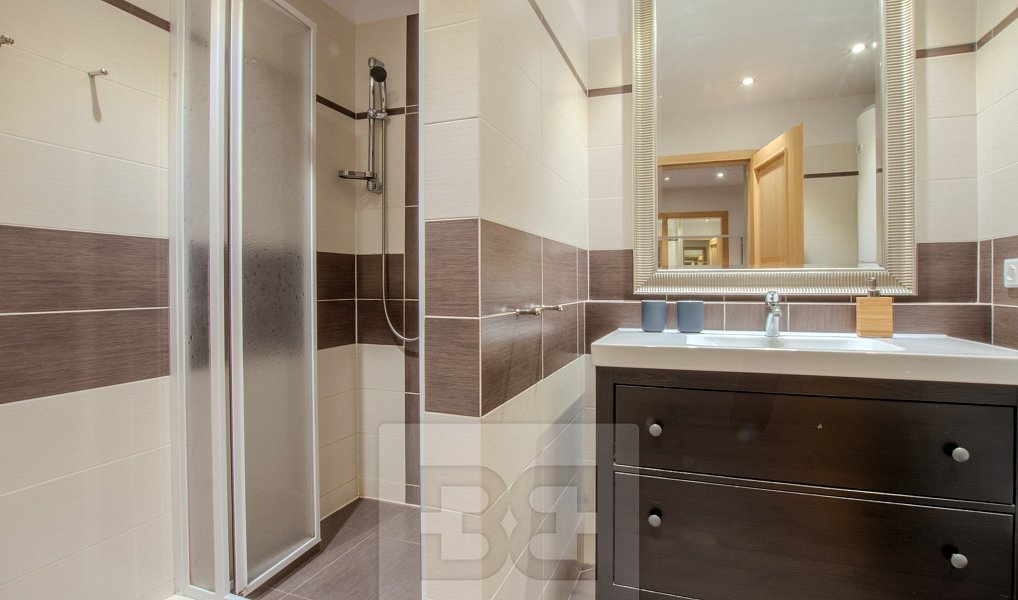 Pronájem bytu 3+kk 74 m², Vítkovice – náhled fotky 9