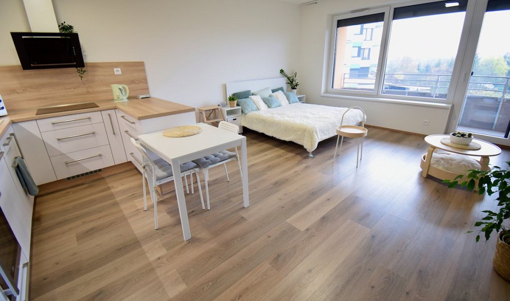 Pronájem bytu 1+kk 41 m², Olomouc – náhled fotky 11