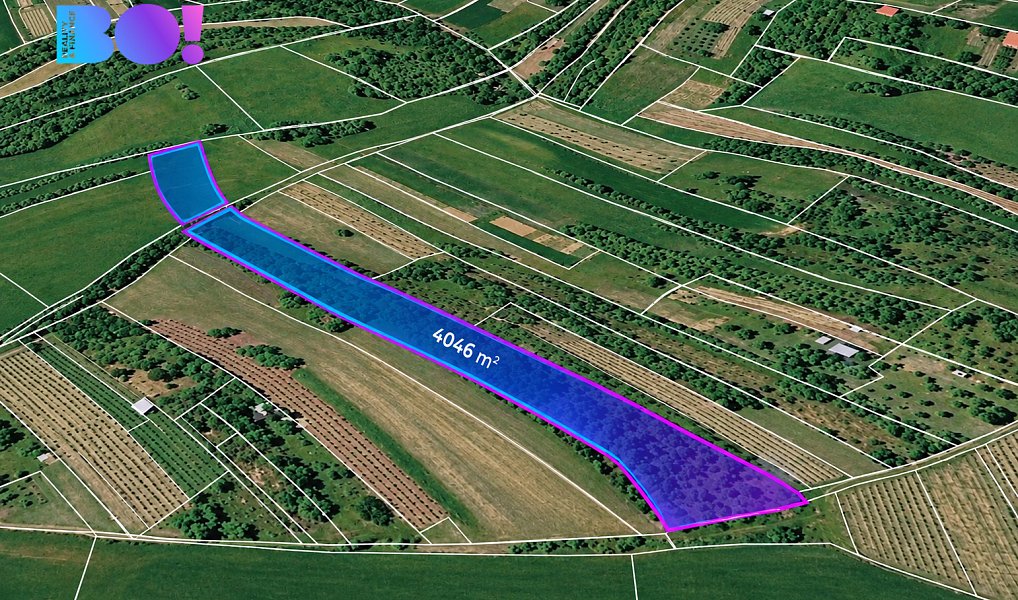 Prodej pole 4 046 m², Dambořice – náhled fotky 4