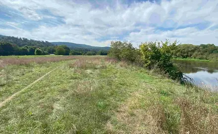 Dražba louky 601 m², Všenory