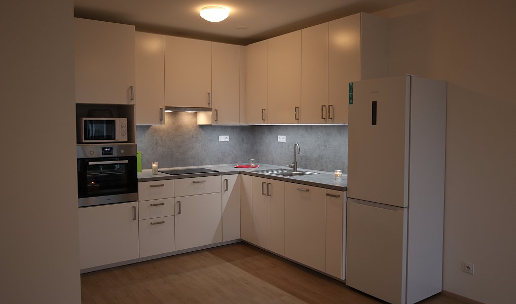 Pronájem bytu 2+kk 50 m², Roztoky – náhled fotky 5