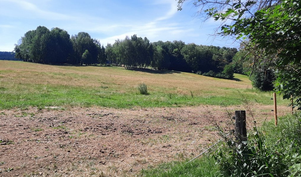 Prodej louky 12 444 m², Benešov nad Černou – náhled fotky 7