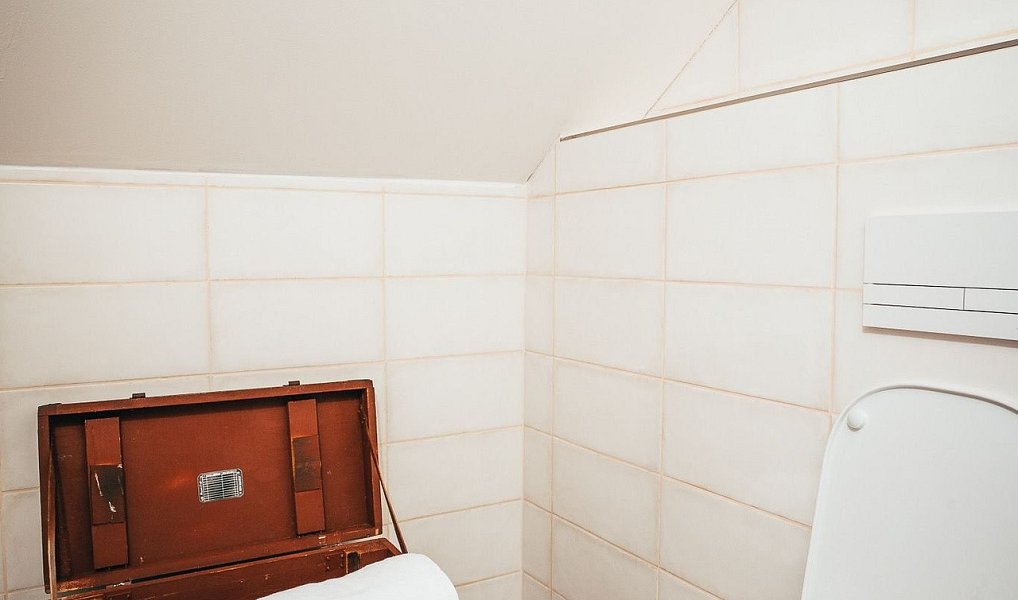 Pronájem chaty/chalupy 247 m² s pozemkem 1 065 m², Mojné – náhled fotky 31
