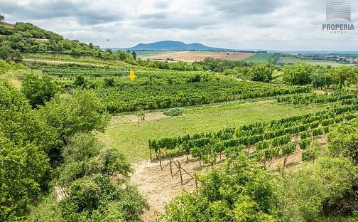 Prodej pole 1 120 m², Pouzdřany, okres Břeclav
