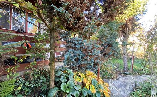 Prodej chaty/chalupy 16 m² s pozemkem 225 m², Koupaliště, Litovel, okres Olomouc