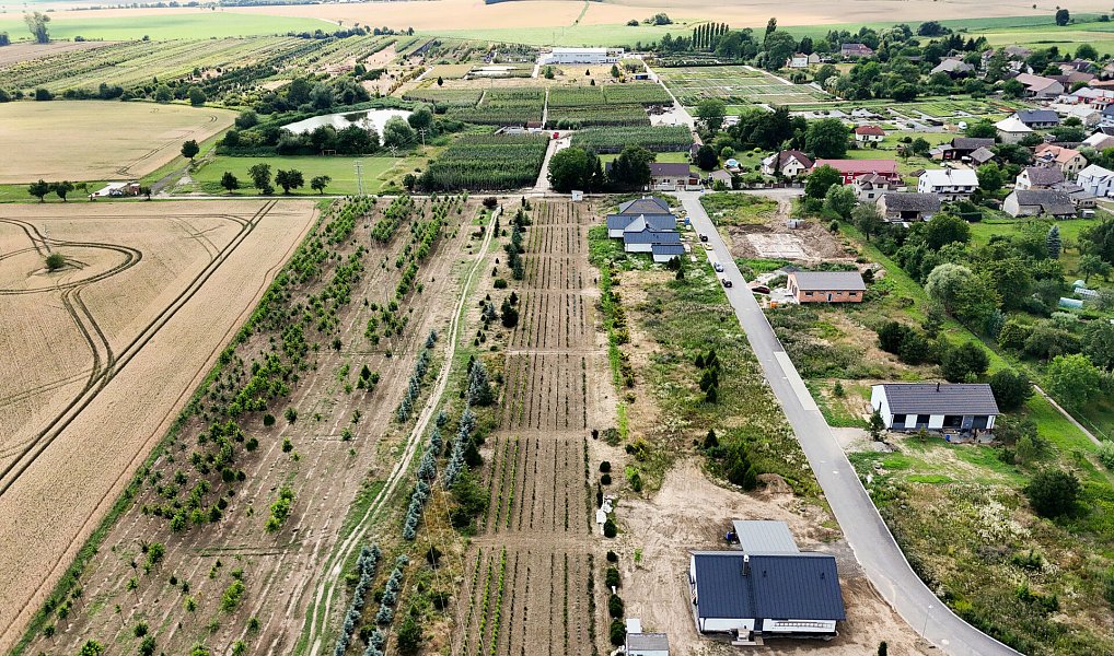 Prodej stavebního pozemku 1 005 m², Boseň – náhled fotky 10