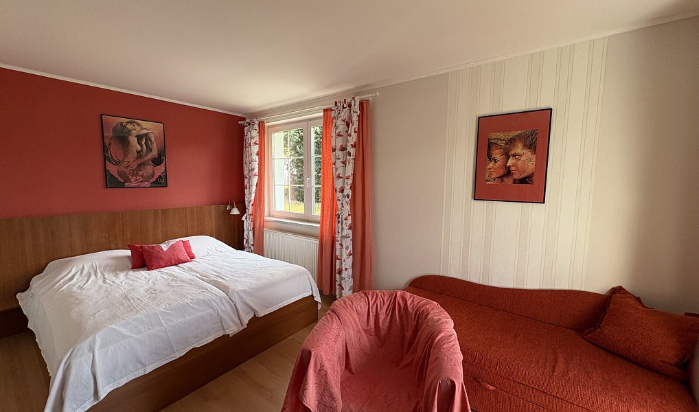 Prodej domu 490 m² s pozemkem 1 721 m², Růžová – náhled fotky 9