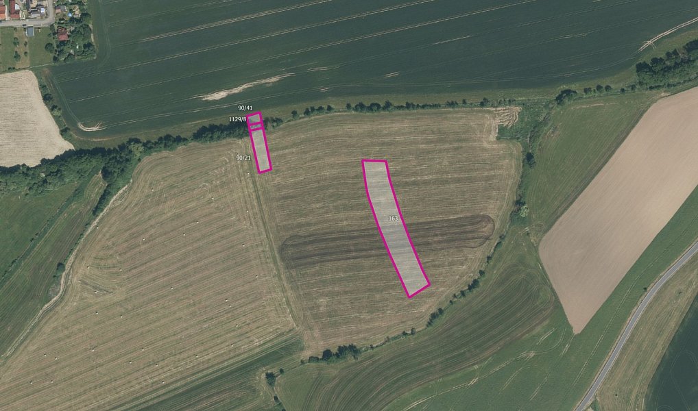 Prodej pole 6 631 m², Dnešice – fotka 1 z 4