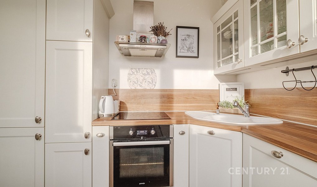 Pronájem bytu 3+kk 63 m², Benešov – náhled fotky 6