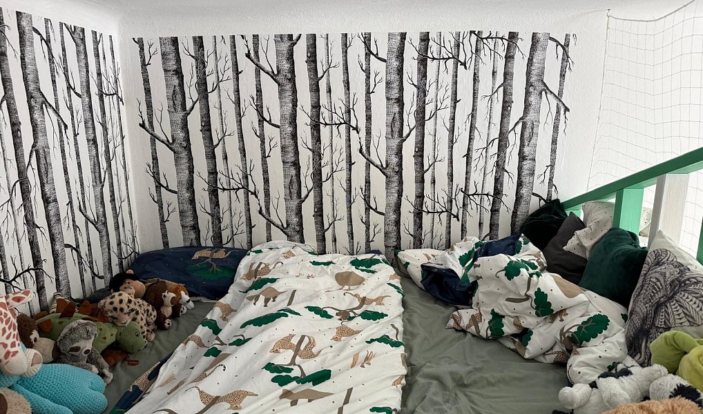 Pronájem bytu 2+1 64 m², Tábor – náhled fotky 6
