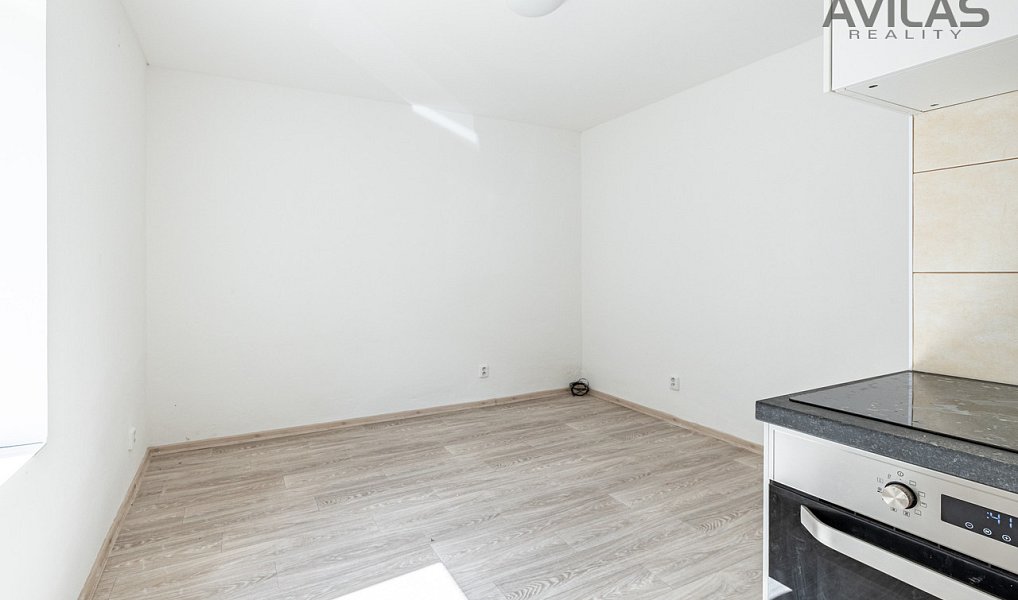 Pronájem bytu 1+kk 27 m², Zvěstov – náhled fotky 7