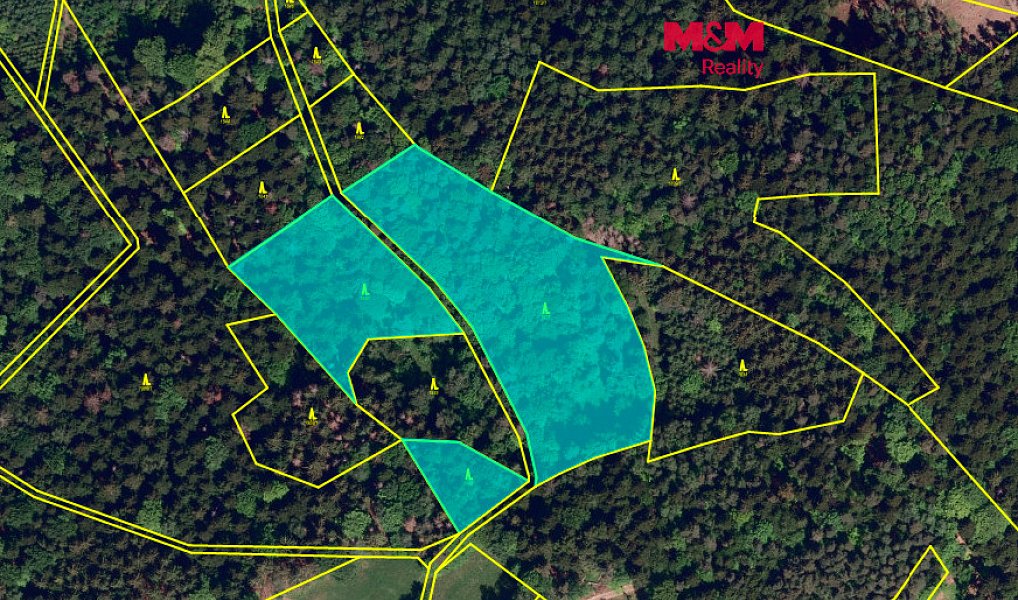 Prodej lesa 26 129 m², Rusava – fotka 1 z 4