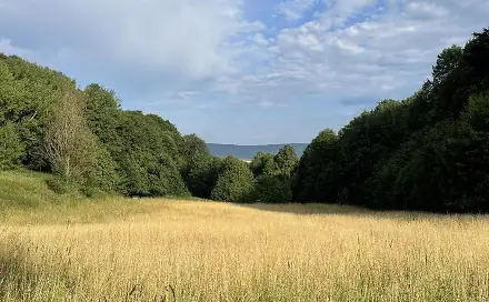 Prodej pozemku 50 152 m², Útěchov - Čivice
