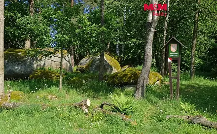 Prodej lesa 7 042 m², Petrovice - Žemličkova Lhota, okres Příbram
