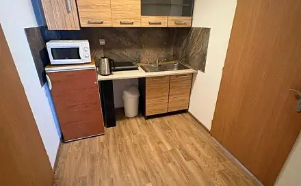 Pronájem bytu 1+kk 33 m², Brno