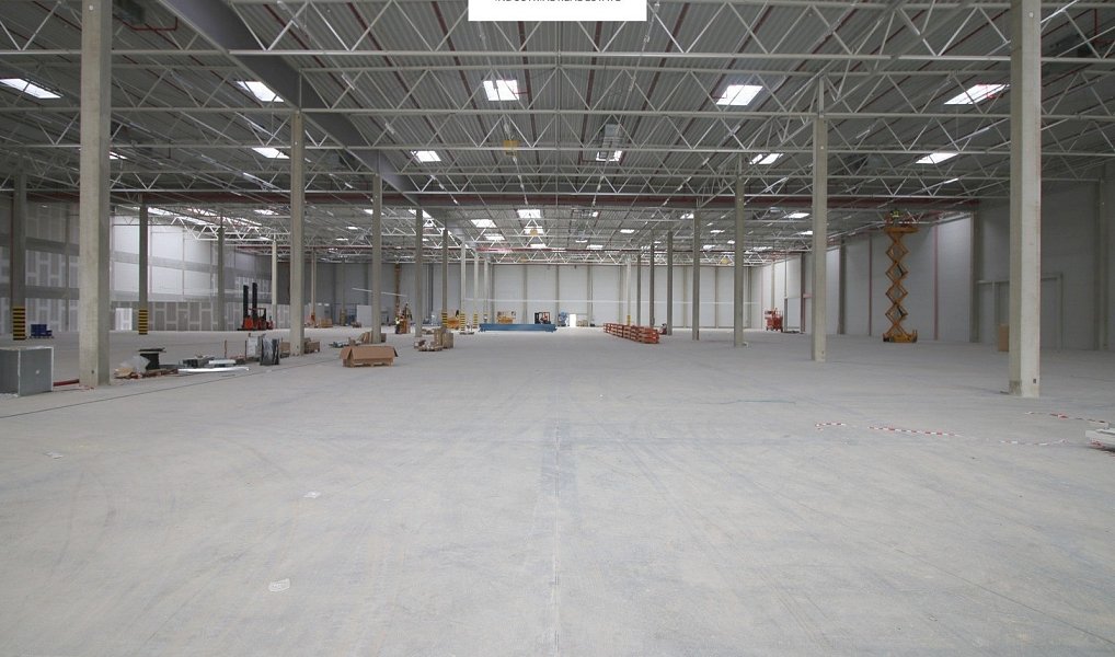 Pronájem skladovacích prostor 3 000 m², Pavlov – náhled fotky 3