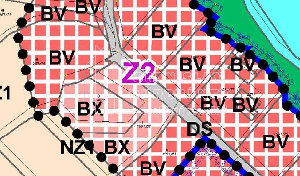 Prodej stavebního pozemku 4 929 m², Nová Ves – náhled fotky 3