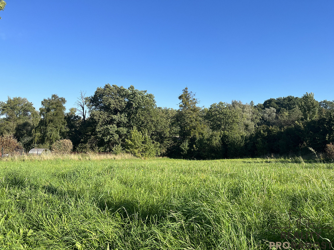 Prodej komerčního pozemku 2 450 m² – fotografie 3
