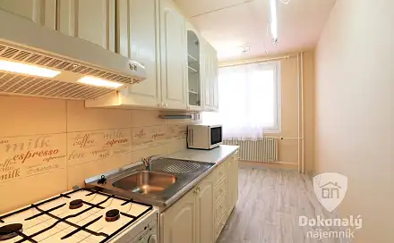 Pronájem bytu 2+1 62 m², Sokolovská, Plzeň - Bolevec