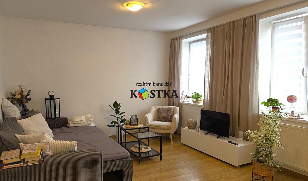 Pronájem bytu 1+1, 48 m², Nový Jičín