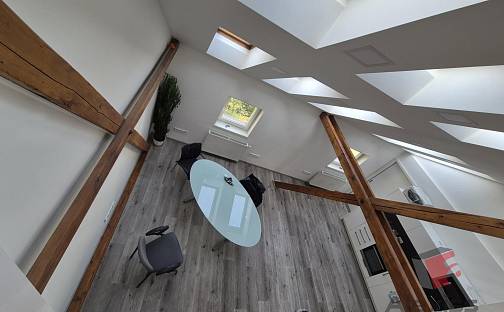 Pronájem bytu atypického 141 m², Sinkulova, Praha 4 - Nusle