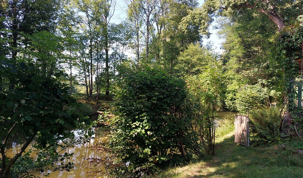 Prodej chaty/chalupy 84 m² s pozemkem 1 392 m², Plzeň – náhled fotky 15