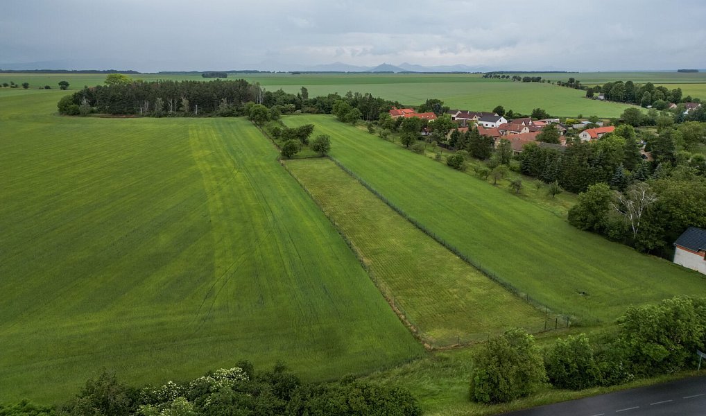 Prodej pozemku 3 211 m², Peruc – náhled fotky 3