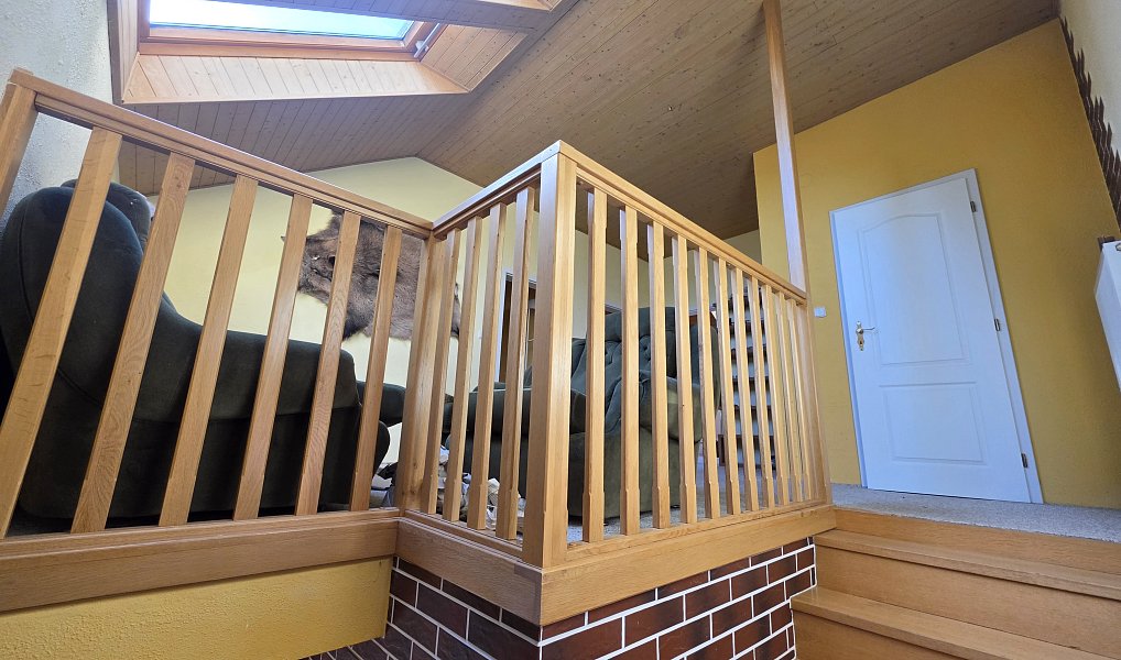 Prodej domu 250 m² s pozemkem 503 m², Vysoká – náhled fotky 27