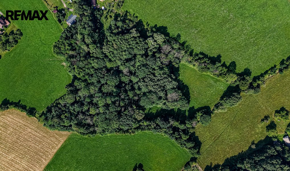 Prodej louky 36 931 m², Mírová pod Kozákovem – náhled fotky 5