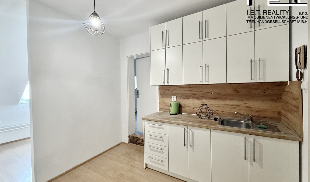 Pronájem bytu 1+1, 39 m², Žabovřesky, Brno-město, Brno