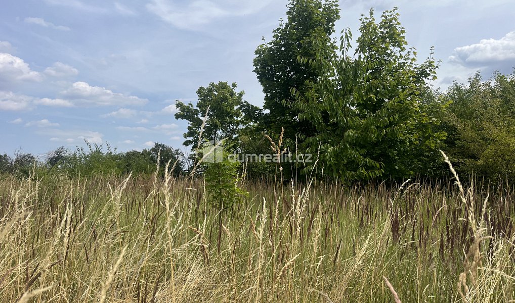 Prodej stavebního pozemku 2 595 m², Kralupy nad Vltavou – náhled fotky 7