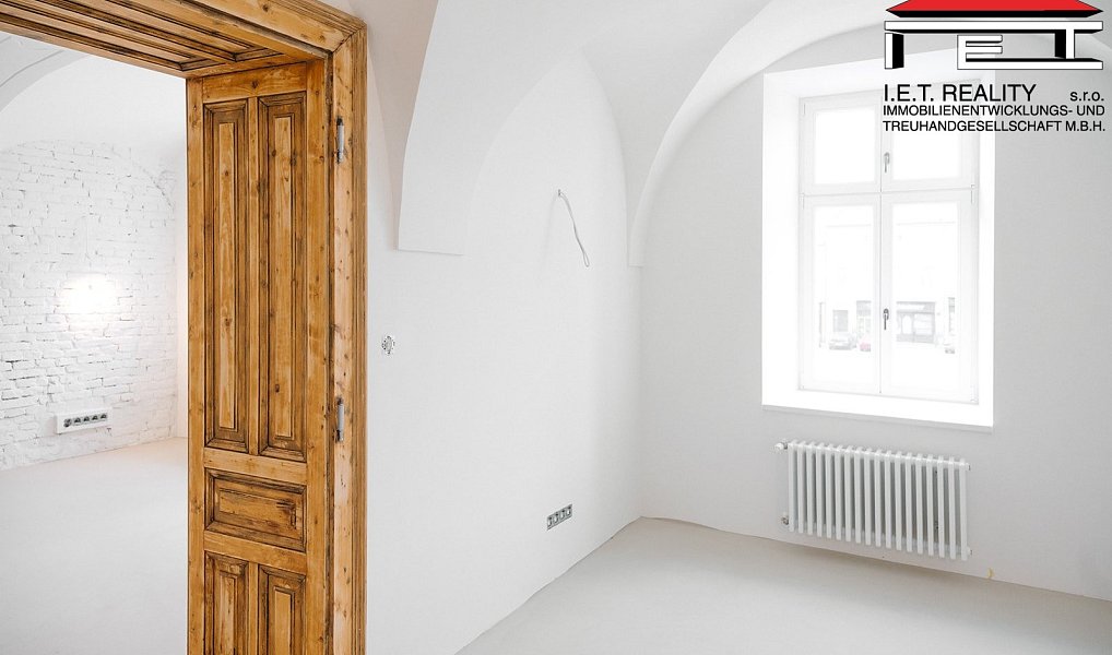 Prodej bytu atypického 405 m², Frýdek-Místek – náhled fotky 16