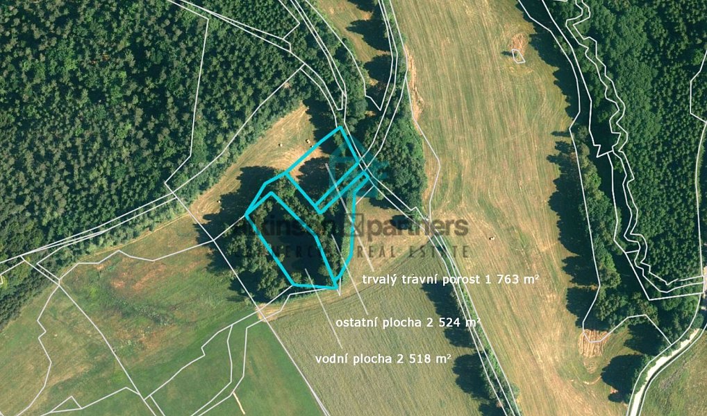 Prodej pozemku 6 805 m², Benešov nad Černou – náhled fotky 5