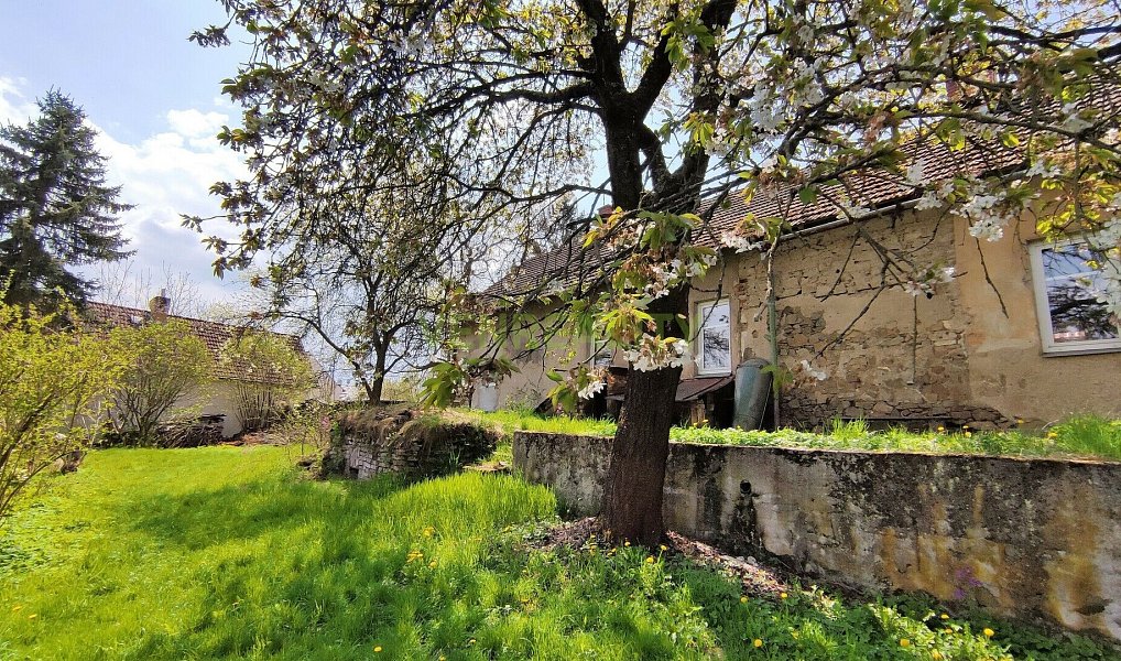 Prodej stavebního pozemku 1 872 m², Pyšely – náhled fotky 5
