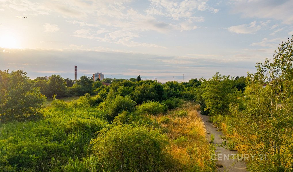 Prodej stavebního pozemku 4 973 m², Praha – náhled fotky 7
