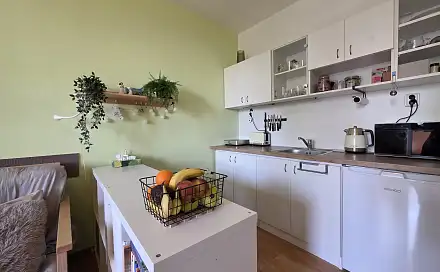 Prodej bytu 1+kk 24 m², Opálkova, Brno