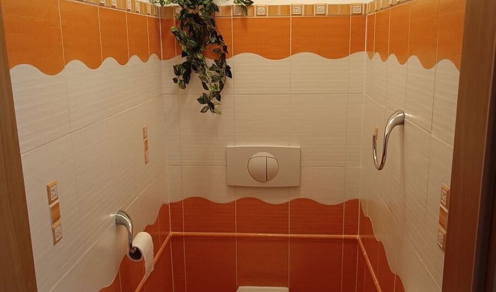 Prodej bytu 3+kk 85 m², Výprachtice – náhled fotky 10
