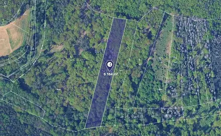 Prodej lesa 771 m², Svinošice, okres Blansko
