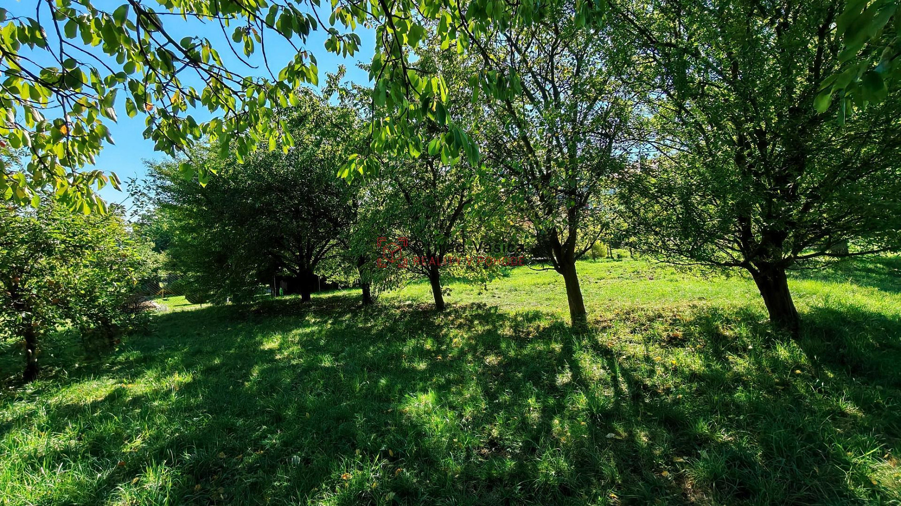 Prodej stavebního pozemku 2 200 m² – fotografie 4